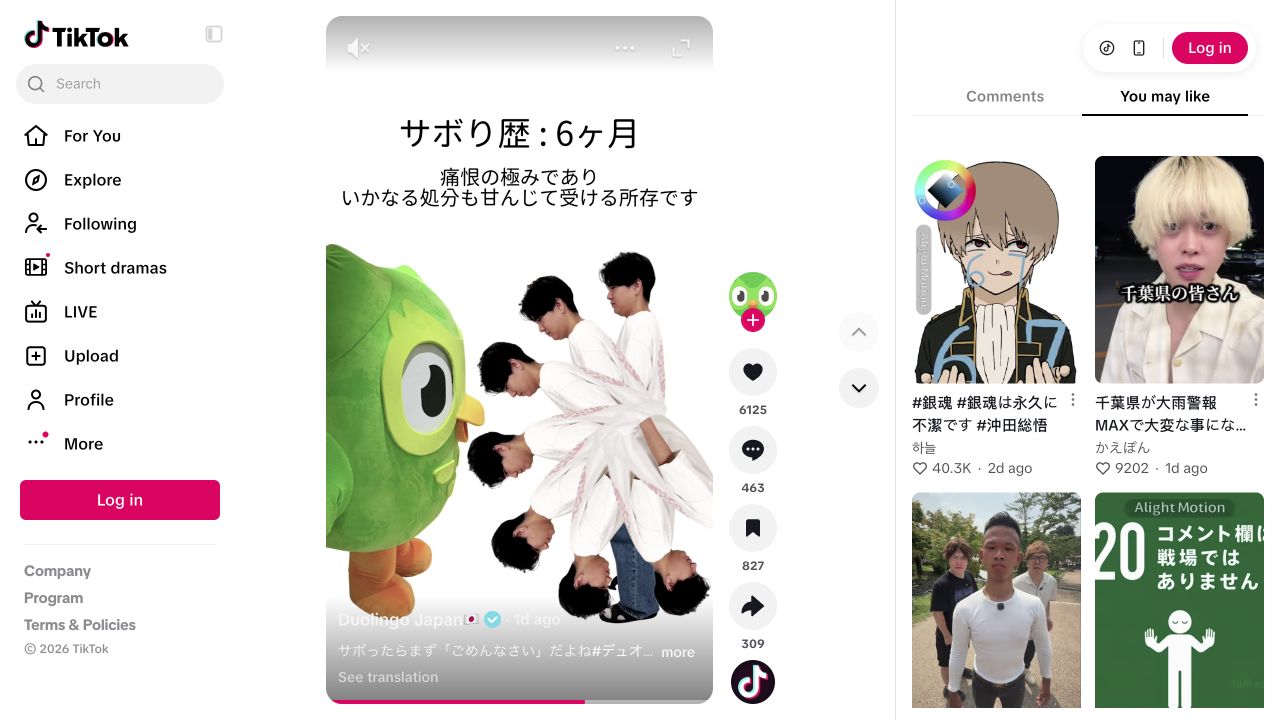 Duolingo Japan apology skit with the owl and repeated bowing figures